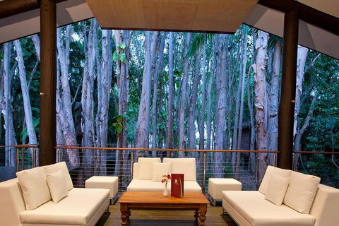 Airport Transfer - Cairns Airport To Palm Cove, Kewarra & Trinity Beaches - Accommodation Australia 2