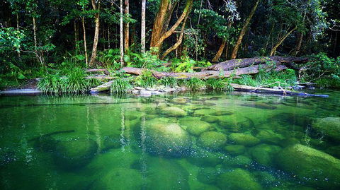 Cairns Adventure Package- 4 Tours In 3 Days! - Local Tourism 6