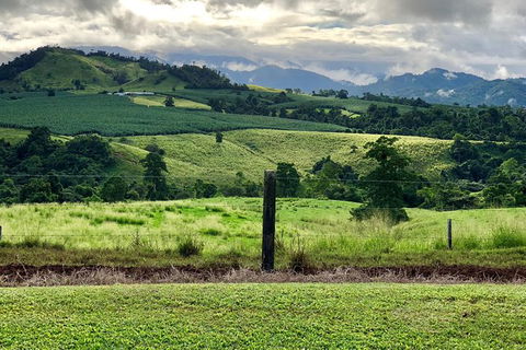 Tableland Tasting Tour - Accommodation Australia 0