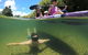 Babinda Half Day Or Full Day Self-Guided Kayaking Experience - thumb 0