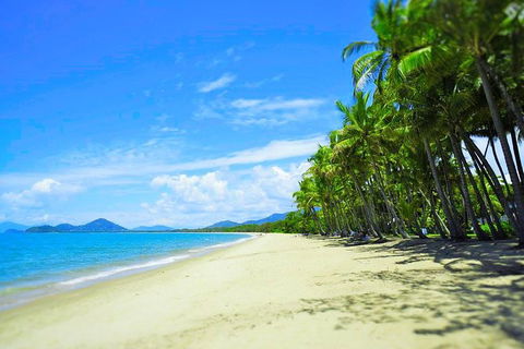Airport Transfer - Palm Cove, Kewarra Beach & Trinity Beach To Cairns Airport - Accommodation Australia 2