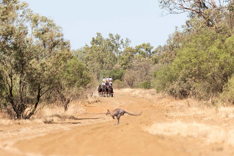 Cobb And Co Stagecoach Experience - Accommodation Australia 5