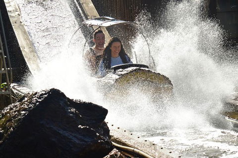 Theme Park Transfers From Brisbane - Local Tourism 4