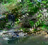 Tamborine Mountain  Gold Coast Tour - Local Tourism
