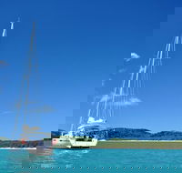 Sailing Curlew Escape on Moreton Bay - Local Tourism