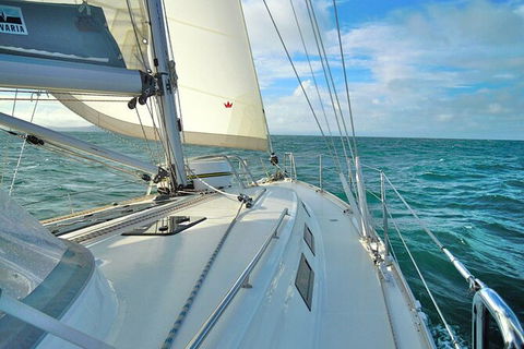 Sailing Curlew Escape On Moreton Bay - Local Tourism 7