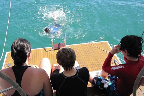 Sailing Curlew Escape On Moreton Bay - Local Tourism 12