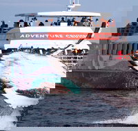 Half-Day Whale Watching in Urangan - Local Tourism