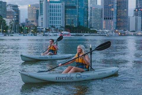 Brisbane City Twilight Kayaking With Wine And Grazing Board - Local Tourism 3
