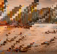 Brisbane City Twilight Kayaking with Wine and Grazing Board - Local Tourism