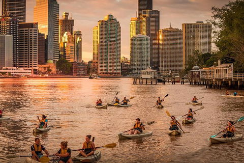 Brisbane City Twilight Kayaking With Wine And Grazing Board - Local Tourism 0