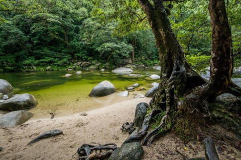 Port Douglas Daintree National Park Boutique Full-Day Tour - Australia Shopping 5