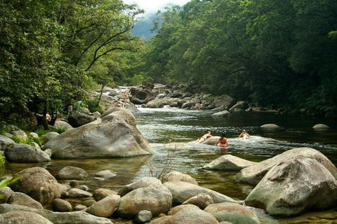 Port Douglas Daintree National Park Boutique Full-Day Tour - Australia Shopping 2