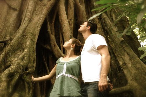 Port Douglas Daintree National Park Boutique Full-Day Tour - Australia Shopping 3