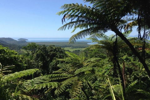 Port Douglas Daintree National Park Boutique Full-Day Tour - Australia Shopping 1