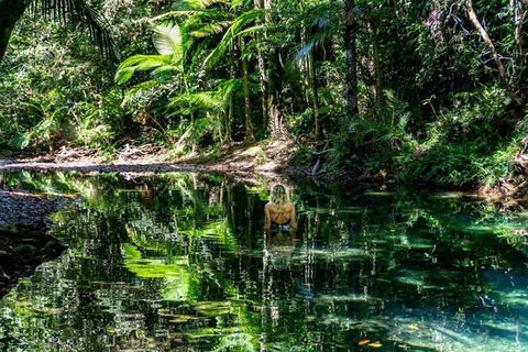 Port Douglas Daintree National Park Boutique Full-Day Tour - Australia Shopping 4
