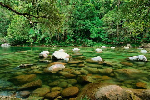 SHUTTLE - Mossman Gorge & Cooya Beach From Port Douglas (Return Transfer) - Local Tourism 3