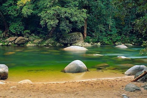 SHUTTLE - Mossman Gorge & Cooya Beach From Port Douglas (Return Transfer) - Local Tourism 1