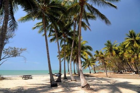 SHUTTLE - Thala Beach And Turtle Cove From Port Douglas (Return Transfer) - Accommodation Australia 2