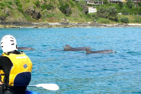 Byron Bay Day Tour - Accommodation Australia 1