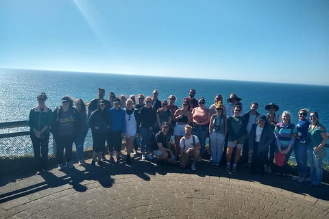 Byron Bay Day Tour - Accommodation Australia 3