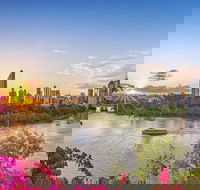 Day Tour in Queenslands Capital City Brisbane - Local Tourism