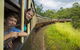Kuranda Skyrail Rainforest Cableway And Scenic Railway - thumb 0