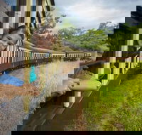 Kuranda Skyrail Rainforest Cableway and Scenic Railway - Local Tourism