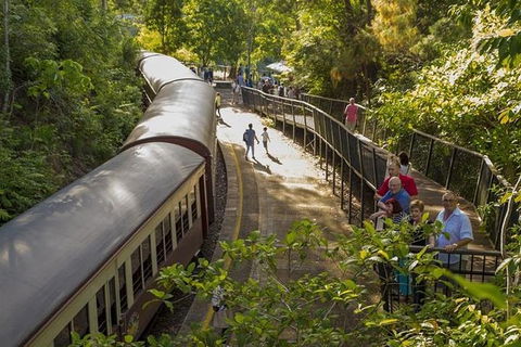 Kuranda Skyrail Rainforest Cableway And Scenic Railway - Local Tourism 5