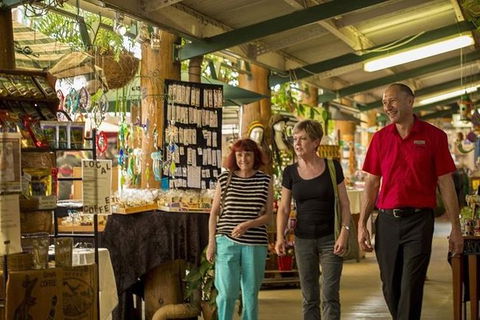 Kuranda Skyrail Rainforest Cableway And Scenic Railway - Local Tourism 4