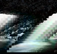 Glowworm Cave  Natural Bridge Tour - Local Tourism