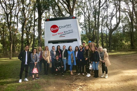 Private 13 Seat Mini Bus Brisbane CBD To A GC Theme Park Transfer - Local Tourism 7