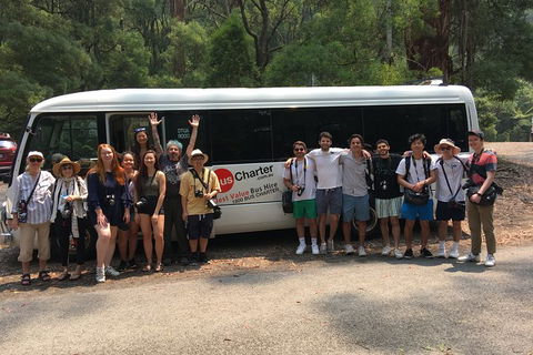 Private 13 Seat Mini Bus Brisbane CBD To A GC Theme Park Transfer - Local Tourism 4