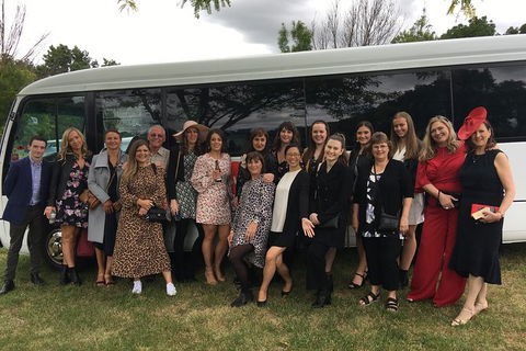 Private 13 Seat Mini Bus Brisbane CBD To A GC Theme Park Transfer - Local Tourism 5