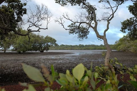 Private Full-Day Guided Tour With Workshop: Karragarra And Macleay Island - Local Tourism 28