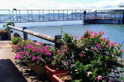 Private Full-Day Guided Tour With Workshop: Karragarra And Macleay Island - Local Tourism 23