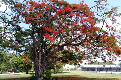 Private Full-Day Guided Tour With Workshop: Karragarra And Macleay Island - Local Tourism 29