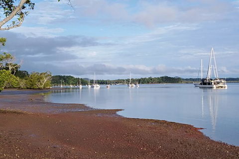Private Full-Day Guided Tour With Workshop: Karragarra And Macleay Island - Local Tourism 18