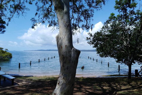 Private Full-Day Guided Tour With Workshop: Karragarra And Macleay Island - Local Tourism 2