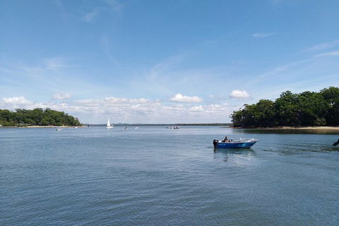 Private Full-Day Guided Tour With Workshop: Karragarra And Macleay Island - Local Tourism 13