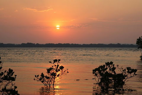 Private Full-Day Guided Tour With Workshop: Karragarra And Macleay Island - Local Tourism 0