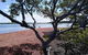 Private Full-Day Guided Tour: Russell Lamb Macleay And Karragarra Islands - thumb 17