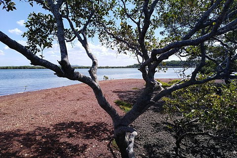 Private Full-Day Guided Tour: Russell Lamb Macleay And Karragarra Islands - Local Tourism 17