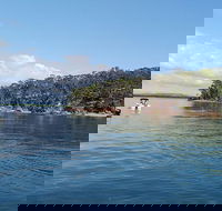 Private Full-Day Guided Tour Russell Lamb Macleay and Karragarra Islands - Local Tourism