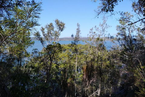Private Full-Day Guided Tour: Russell Lamb Macleay And Karragarra Islands - Local Tourism 22