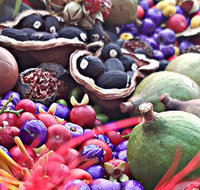 Wang'ari Dreaming Bush Tucker Tour - Local Tourism
