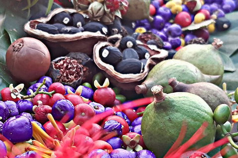 Wang\'ari Dreaming Bush Tucker Tour - Local Tourism 0