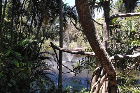 Wang\'ari Dreaming Bush Tucker Tour - Local Tourism 4