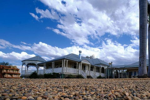 Camel Farm Tour And Taste Near Brisbane - Local Tourism 1