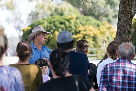 Camel Farm Tour And Taste Near Brisbane - Local Tourism 4